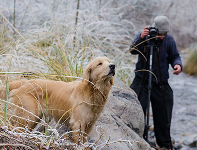 Professional Birthday party photography services in Atherton CA